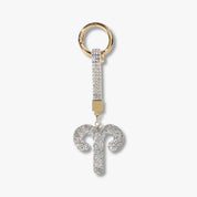 Zodiac Sparkle | The Ultimate Statement